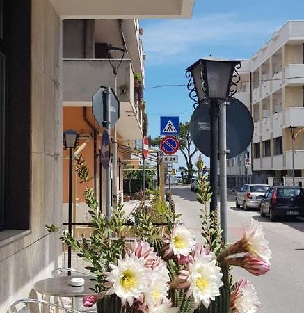 Hotel Blurelda Silvi Marina Bagian luar foto